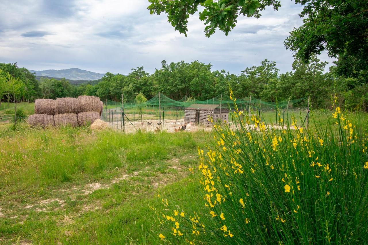 Casale Rancaglia Villa Gubbio Dış mekan fotoğraf